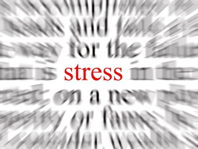 Lo Stress ed il suo prezzo Lo Stress ed il suo prezzo